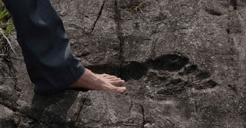 3 Descubrimientos que demuestran la existencia de Gigantes en la Tierra 3 Descubrimientos que demuestran la existencia de Gigantes en la Tierra