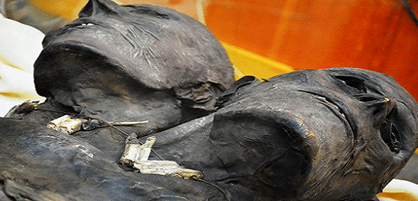 3 Descubrimientos que demuestran la existencia de Gigantes en la Tierra 3 Descubrimientos que demuestran la existencia de Gigantes en la Tierra