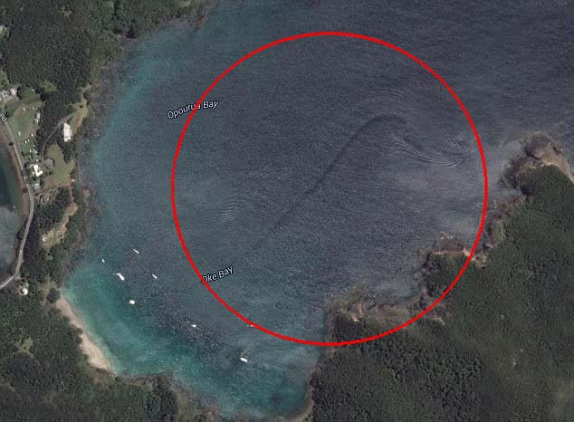Descubren una misteriosa criatura en la costa de Nueva Zelanda a través de Google Earth