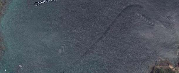 Descubren una misteriosa criatura en la costa de Nueva Zelanda a través de Google Earth