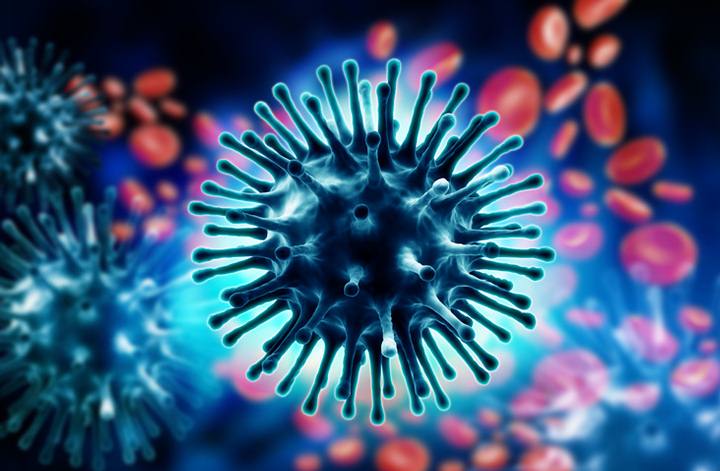 Expertos advierten que estamos al borde de una pandemia que podría matar a 300 millones de personas Expertos advierten que estamos al borde de una pandemia que podría matar a 300 millones de personas