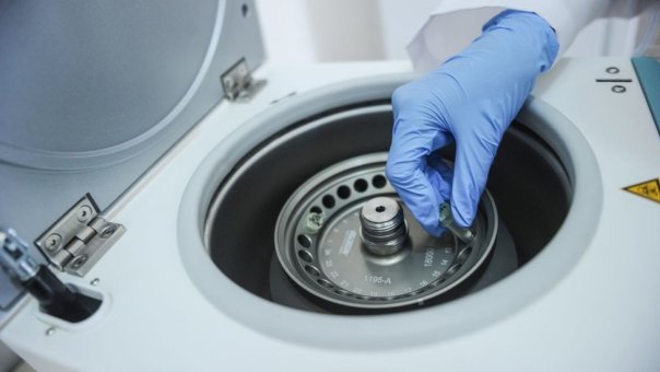 Las 8 enfermedades que son un riesgo global para la salud, según la OMS