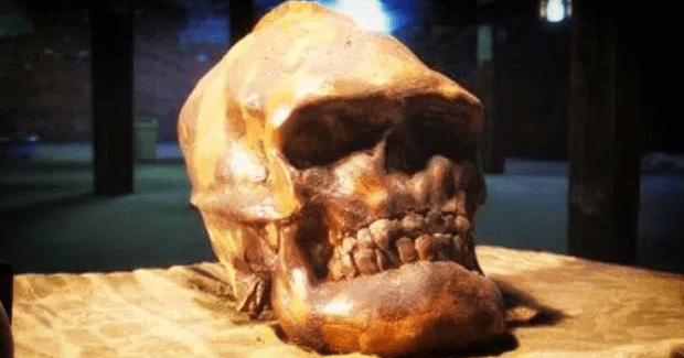 Los restos de una Raza perdida de gigantes se han descubierto en Nevada Los restos de una Raza perdida de gigantes se han descubierto en Nevada