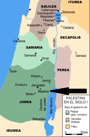Operación caballo de Troya