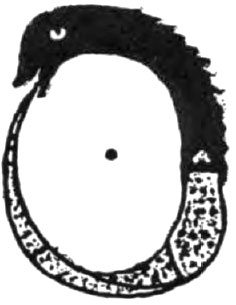 Codex Magica 22: Educados Por El Sol - Signos Solares, Círculos Y Serpientes