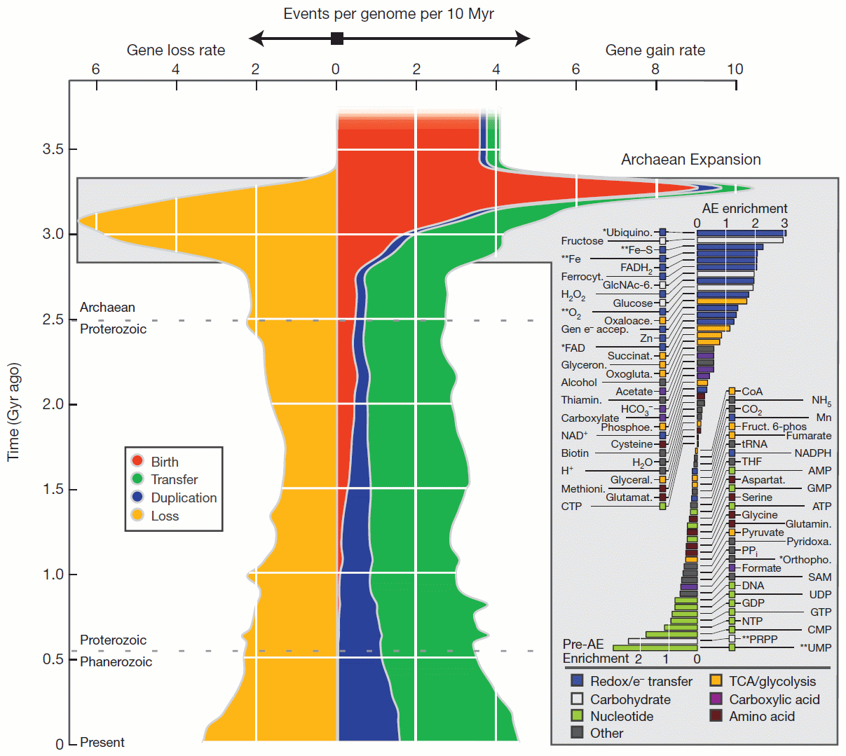 Genes más viejos que la tierra? 