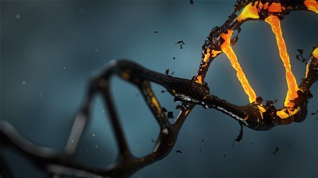 Arca de Noé moderna almacena el ADN de millones de especies