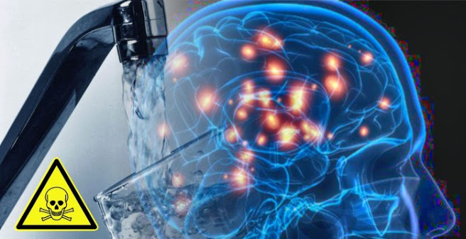 Científicos de Harvard confirman los peligros del Flúor vinculado a daños en el cerebro