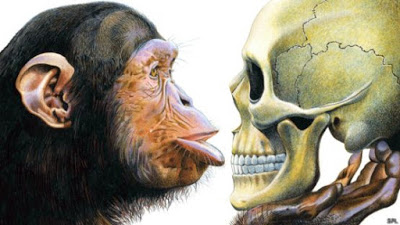 ¿Como nos volvimos humanos?