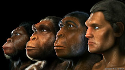 ¿Como nos volvimos humanos?