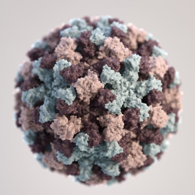 ¿Son los virus la nueva frontera para la astrobiología?