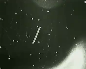 El incidente que oculto la NASA “Tether Incident”. El incidente que oculto la NASA “Tether Incident”.