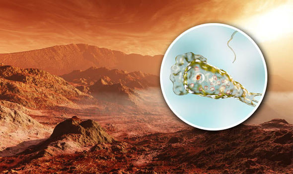 La vida en Marte: ¿la vida extraterrestre prosperó en el hábitat marciano millones de años antes de la Tierra?