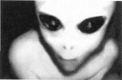 Se acerca un Falso contacto Extraterrrstre... ¿Que opinas?