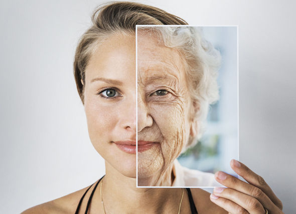 Envejecimiento tratable: Droga PARA REVERTIR el envejecimiento en el sistema inmune