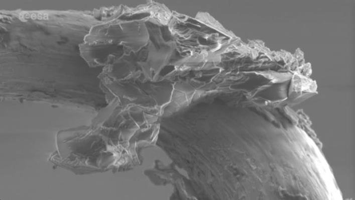 Así se ve un asteroide visto a través de un microscopio   