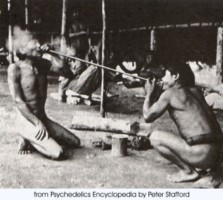 Borrador automático Borrador automático