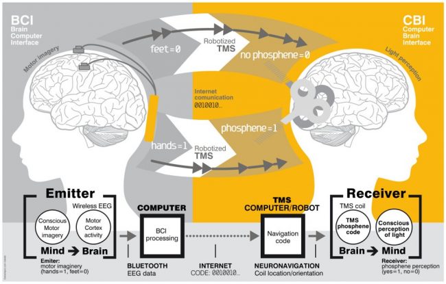 Científicos logran por primera vez transmitir pensamientos de cerebro a cerebro