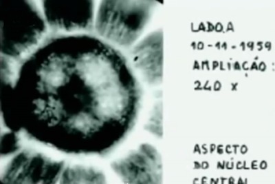 El ser VIVO EXTRATERRESTRE, capturado y estudiado hace ya 18 AÑOS: Microorganismo de EVORA  