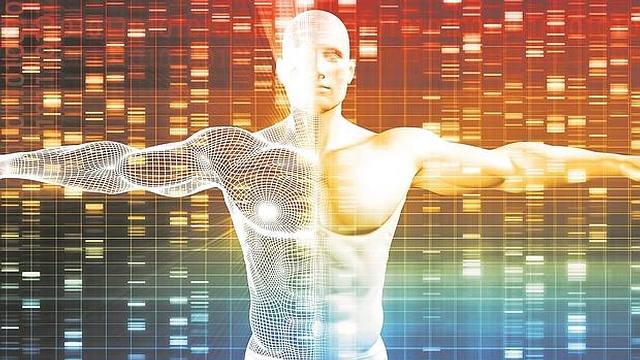 Humanos diseñados «a la carta»: Un genoma sintético en diez años