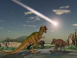 El 93 por ciento de los mamíferos murió junto a los dinosaurios hace 66 millones de años
