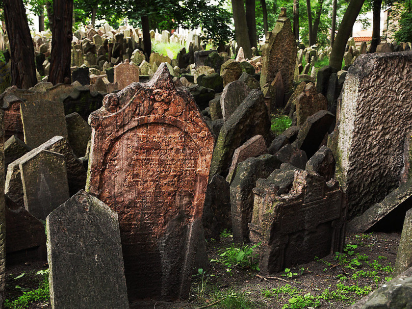 UN CEMENTERIO DE COLMILLOS AFILADOS