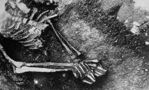 UN CEMENTERIO DE COLMILLOS AFILADOS