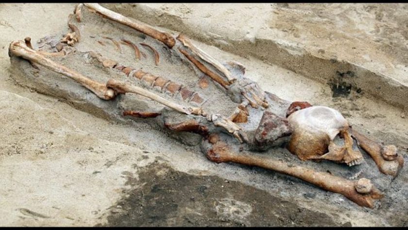 UN CEMENTERIO DE COLMILLOS AFILADOS