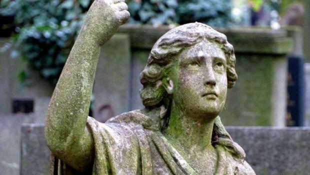 UN CEMENTERIO DE COLMILLOS AFILADOS