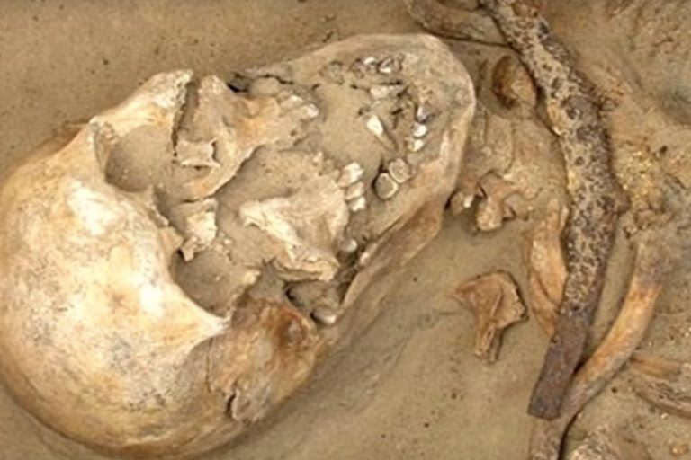 UN CEMENTERIO DE COLMILLOS AFILADOS