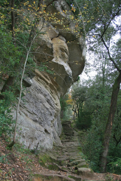 EL ENIGMA DE SAVASSONA, BARCELONA