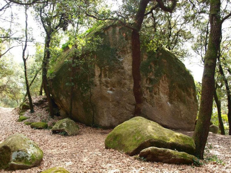 EL ENIGMA DE SAVASSONA, BARCELONA