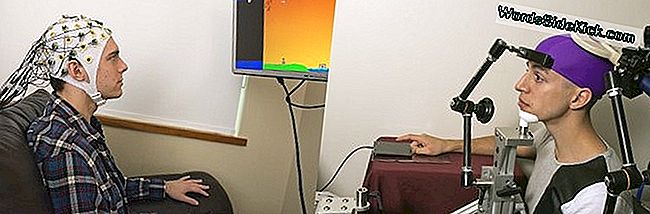 Humanos dirigidos por Control Remoto: Una fantasía que empieza a ser realidad