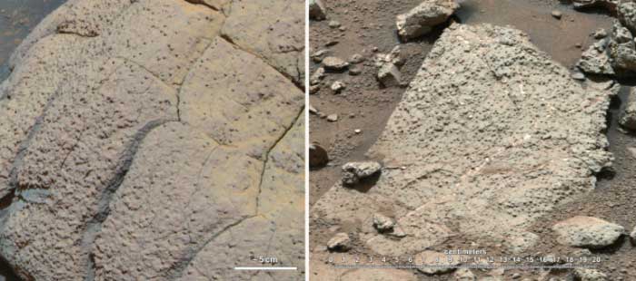 La NASA pudo haber destruido pruebas de vida de Marte hace 40 años