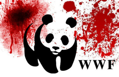 LA SUCIA VERDAD SOBRE WWF, LA ONG ECOLOGISTA MÁS GRANDE DEL MUNDO