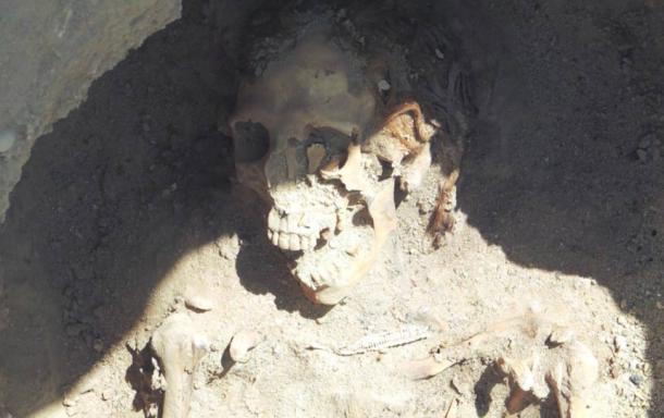 Descubrimientos intrigantes de la necrópolis de millones de momias en Egipto reveladas