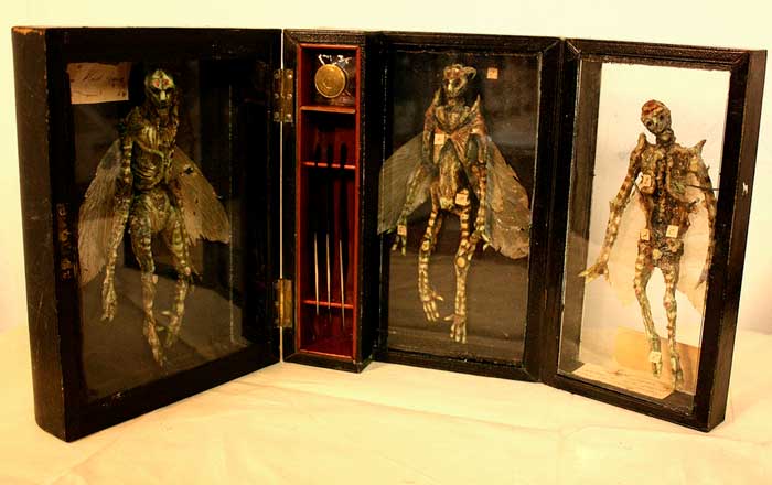 El extraño Museo de Merrylin y sus criaturas mitológicas