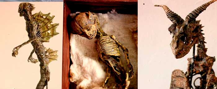 El extraño Museo de Merrylin y sus criaturas mitológicas