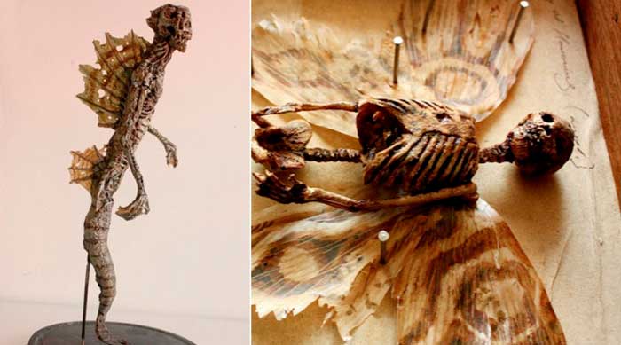 El extraño Museo de Merrylin y sus criaturas mitológicas