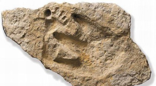 Pisadas de los Viajeros del Tiempo?