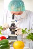 ¿Semillas y alimentos transgénicos o especulación alimentaria?