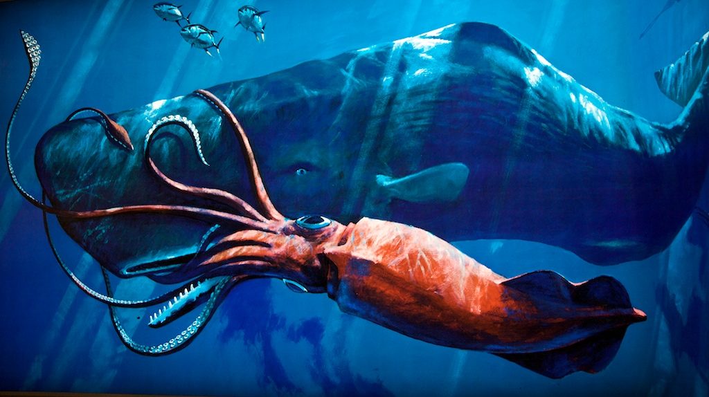 Criaturas terribles: Calamares gigantes
