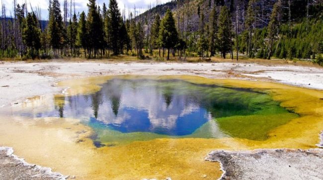 Descubren en Yellowstone una bacteria que se come la Contaminación y Produce Electricidad