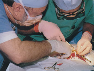 EVIDENCIA FÍSICA: El resultado de 17 cirugías son la extracción de trece extraños “implantes”.
