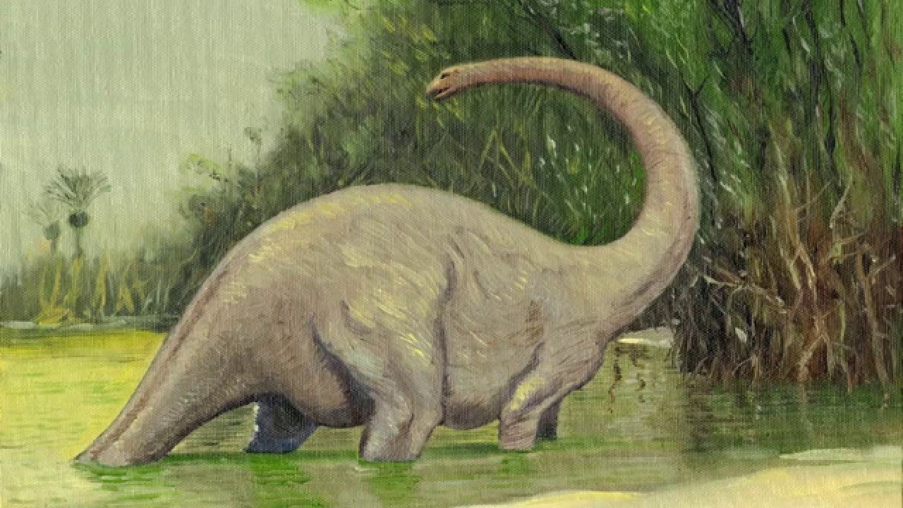 Kongomato dinosaurios en la actualidad