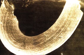 Las misteriosas nanoestructuras de 300.000 años de edad que se hallaron en las montañas Urales de Rusia