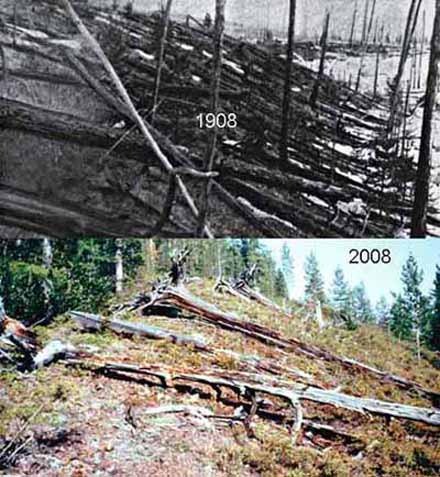 TUNGUSKA. LA EXPLOSIÓN MÁS GRANDE DE LA HISTORIA