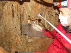 El alucinante hombre de Altamura El alucinante hombre de Altamura