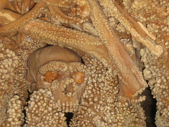 El alucinante hombre de Altamura El alucinante hombre de Altamura
