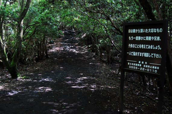 Encuentros paranormales en el bosque de suicidios embrujados de Japón